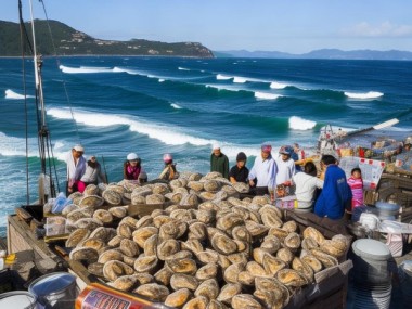 程村蚝荣膺地理标志认证，助力海洋美味传承