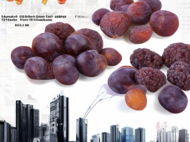 乌梅干品质解析及T/QGCML 462-2022标准市场前景展望