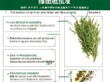 GB/T 22301-2021标准深度解析，干迷迭香质量检测标准解读
