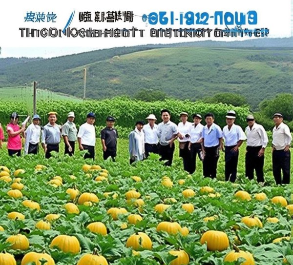 绿色农业新里程，DB43/T 2275-2021 露地南瓜减量增效技术规程解读,绿色农业新里程，DB43/T 2275-2021 露地南瓜减量增效技术规程解读,2021,技术规程,农业现代化,第1张